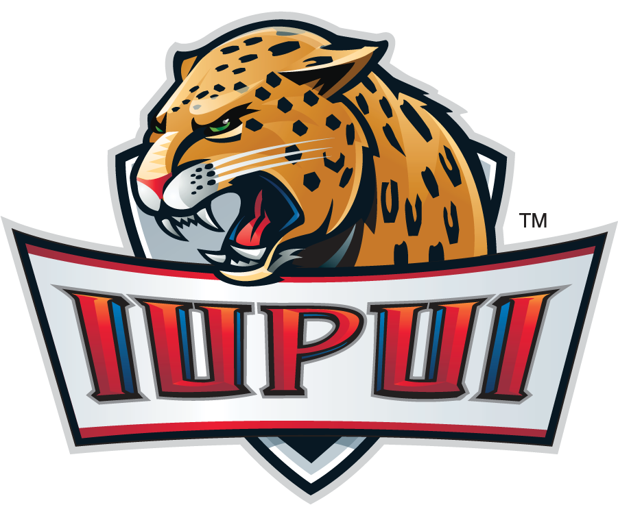 IUPUI Jaguars 2007-2017 Alternate Logo v2 diy iron on heat transfer